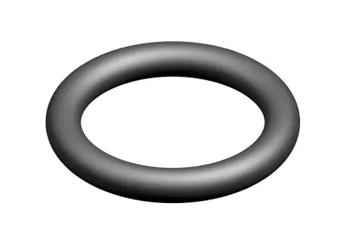 Schwarzer O-Ring, kreisförmig und dick, auf weißem Hintergrund. Das Produkt stammt von Bosch und wird häufig in verschiedenen Anwendungen eingesetzt.